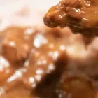 ランチ
